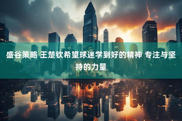 盛谷策略 王楚钦希望球迷学到好的精神 专注与坚持的力量