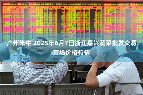 广州米牛 2025年6月7日浙江嘉兴蔬菜批发交易市场价格行情
