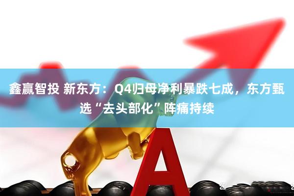 鑫赢智投 新东方：Q4归母净利暴跌七成，东方甄选“去头部化”阵痛持续