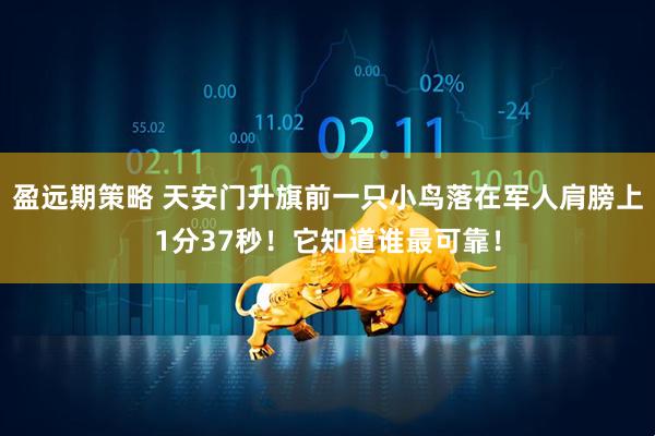 盈远期策略 天安门升旗前一只小鸟落在军人肩膀上1分37秒！它知道谁最可靠！