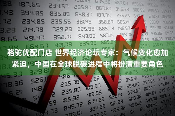 骆驼优配门店 世界经济论坛专家：气候变化愈加紧迫，中国在全球脱碳进程中将扮演重要角色