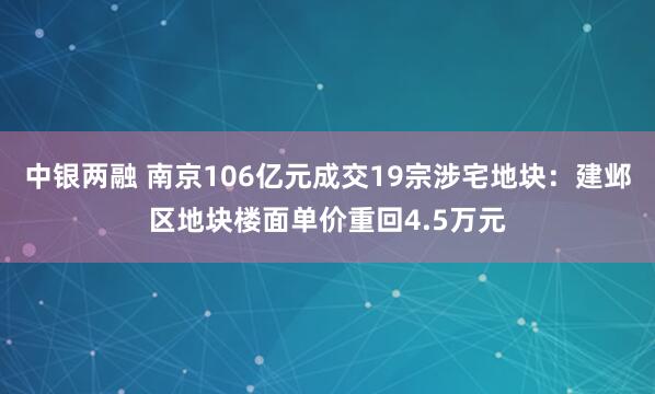 中银两融 南京106亿元成交19宗涉宅地块：建邺区地块楼面单价重回4.5万元
