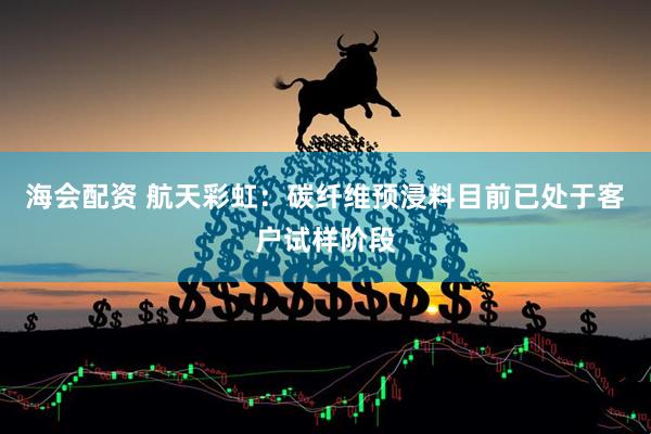 海会配资 航天彩虹：碳纤维预浸料目前已处于客户试样阶段