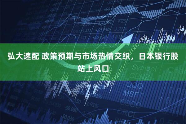 弘大速配 政策预期与市场热情交织，日本银行股站上风口